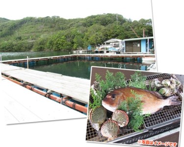 釣り チケット 5名 貸し切り お土産 付き 城水産 釣堀 釣り堀 魚釣り つり フィッシング 筏釣り 観光 旅行 アクティビティ 家族 子供 子ども 利用券 体験 鯛 たい 魚 魚介 海鮮 海産物 海 刺し身 三重 南伊勢 伊勢志摩