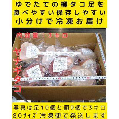ふるさと納税 白老町 浜ゆでたこ 計3000g 北海道白老町産 |  | 01