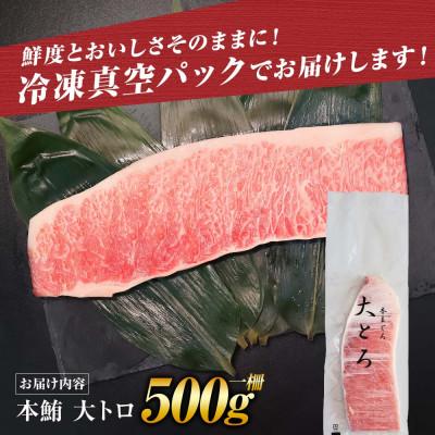 ふるさと納税 土佐市 本鮪(本マグロ)　大トロ　500g |  | 03