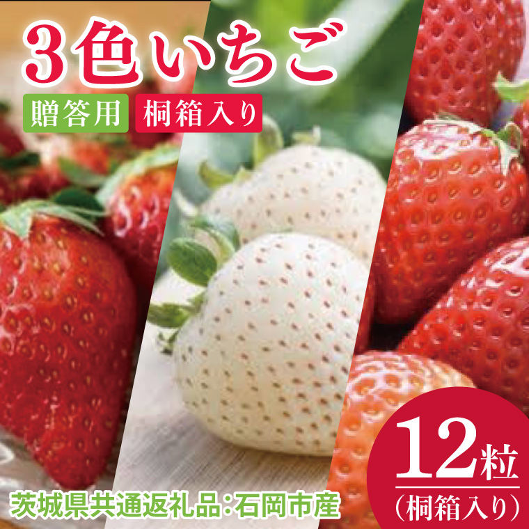 【先行予約】3色いちご　桐箱入り　12粒（茨城県共通返礼品：石岡市産）※2025年12月より発送開始（CD103）