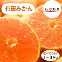 【ふるさと納税】【選べる容量】和歌山県産 有田みかん 訳あり ※2024年10月下旬〜2025年1月中旬頃に順次発送予定（お届け日指定不可）