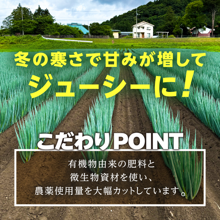 hugmiの長ねぎ 6kg (3kg×2個) Lサイズ 離島配送不可 [BJ011]
