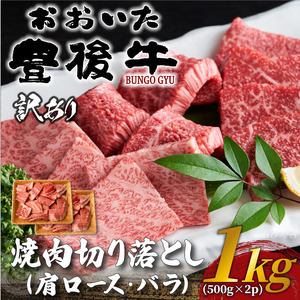 切り落とし訳あり豊後牛 焼肉切り落とし 1kg (500g×2p)