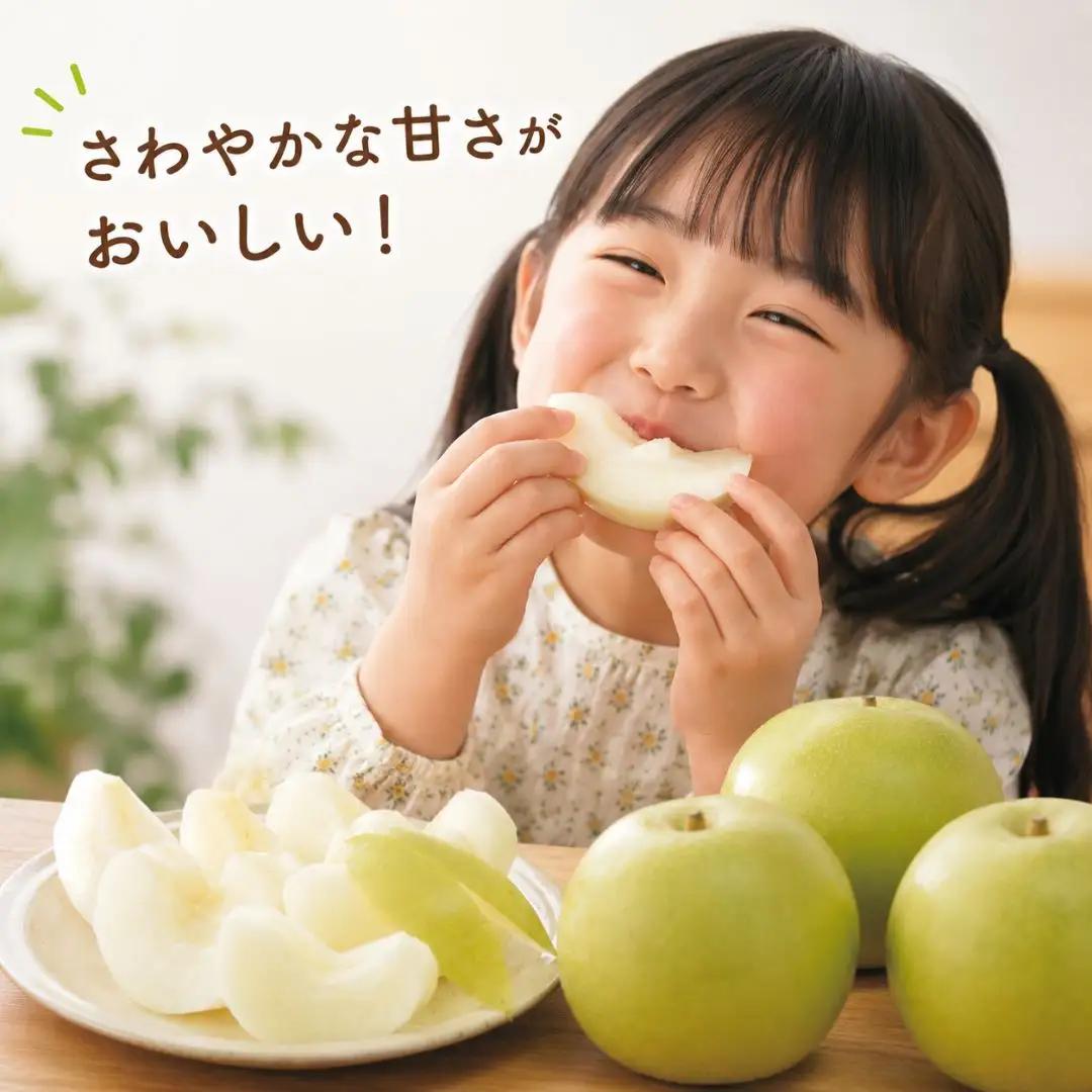 先行予約 和梨 二十世紀 自家用 5kg [9月中旬~順次発送予定] 新潟県産 二十世紀 訳アリ 二十世紀 [岩福農園] 