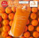 果汁100％ まる搾りみかんジュース 1L×3パック(計3L)