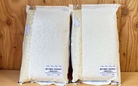 【令和7年産】 ななつぼし （玄米） 真空パック 5kg×2袋 10kg 北海道 鷹栖町 たかすタロファーム 米 コメ こめ ご飯 玄米 お米 ゆめぴりか コメ 玄米