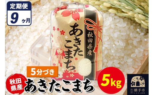 《定期便9ヶ月》あきたこまち 5kg【5分づき】令和7年産 秋田県産 こまちライン [こまちライン あきたこまち ブランド米 お米 5分搗き 5分づき 米どころ 秋田 秋田県産]