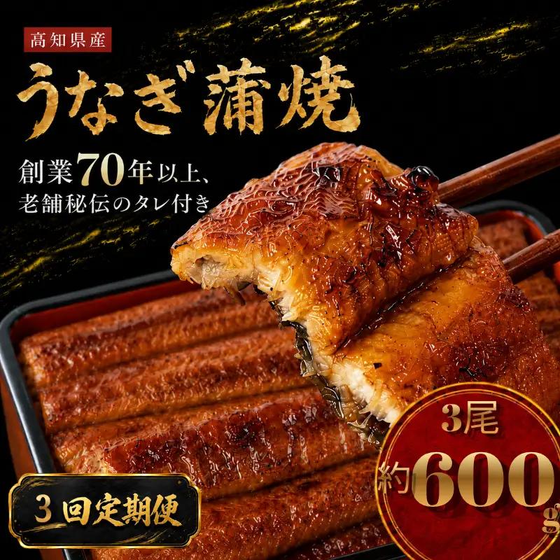 【3回 定期便】 国産 うなぎ 蒲焼 3尾 約600g