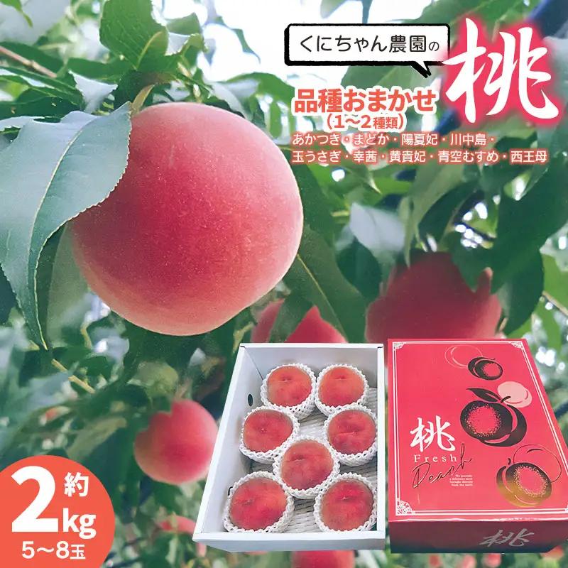 【令和8年産先行予約】 鶴岡市産 桃 (品種おまかせ) 　約2kg　(5～8玉)　くにちゃん農園　K-836