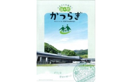 太陽の恵みタップリ　生食用　完熟　無添加　トマトジュース　２本／道の駅　かつらぎ　奈良県　葛城市　tomato【ekik010】