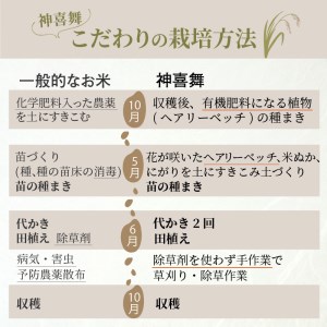 お米【神喜舞】精米 5kg [令和7年産]《 神喜米 お米 精米 5キロ 米 おこめ 国産 送料無料 ヒノヒカリ 》【2502B08402】