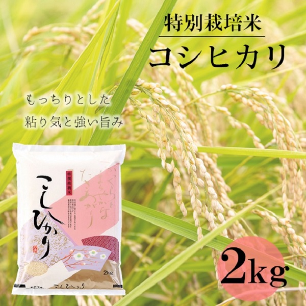 【令和5年産・精米】竹原田ファームのコシヒカリ2kg