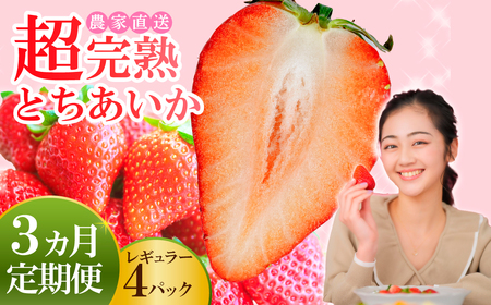 いちご 定期便3回 完熟 とちあいか 約1080g | イチゴ 完熟 栃木県 茂木町 