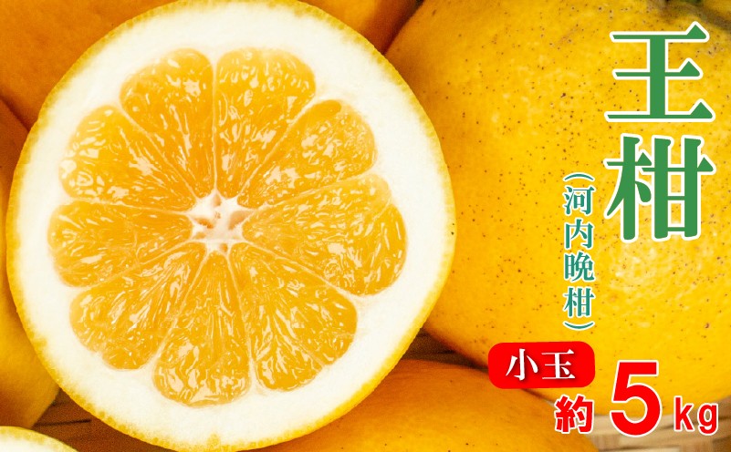 
                  河内晩柑 王柑 小玉 5kg サイズミックス (S～2S)   柑橘 みかん 愛南ゴールド 河内晩柑 晩柑 和製 グレープフルーツ  規格外 常温 愛南町 大串農園  発送: 5月下旬～6月上旬 (なくなり次第終了)
                