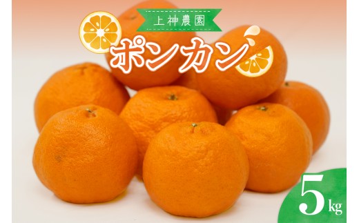 【先行受付】【2027年1月中旬～発送】上神農園のポンカン 約5kg ku011-007-26