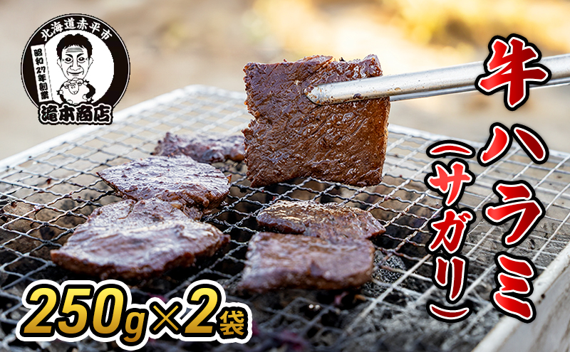 たきもとの牛ハラミ（サガリ）250g×2袋　焼肉 バーベキュー BBQ 牛 牛肉 ハラミ サガリ 冷凍 アウトドア タレ 味付け 北海道 ふるさと納税