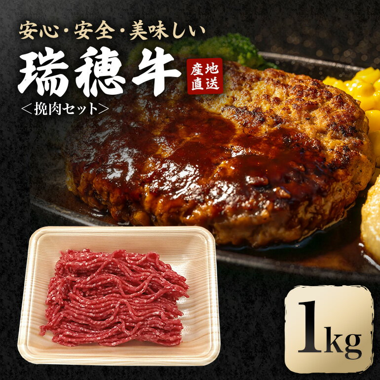 【ふるさと納税】瑞穂牛挽肉セット 約1Kg 1000g 牛肉 瑞穂牛 ひき肉 ブランド牛 茨城県 ミンチ 冷凍配送 200g×5袋パック 小分け 牛ミンチ 和牛 お肉 肉 おにく にく 国産牛 挽き肉 挽肉 お取り寄せ グルメ ハンバーグ 【（株）フロンティアロード】 【ho0865】