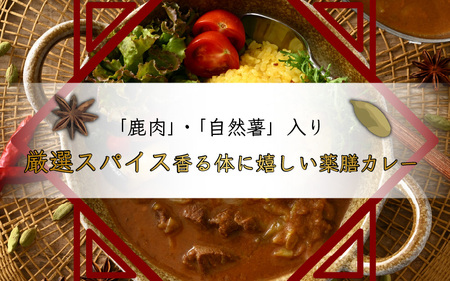 薬膳ジビエカレー 5袋セット 【 年内発送 カレー レトルトカレー ジビエカレー 薬膳カレー ご当地カレー  鹿肉 肉 高タンパク 低カロリー 鉄分豊富 簡易 包装 】 [m55-a008]