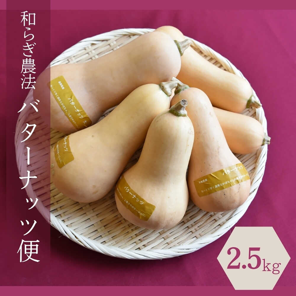 【ふるさと納税】【2025年9月下旬頃より順次発送】和らぎ農法　バターナッツ便（約2.5kg） 栗東市 / 株式会社　ワダケン[BIBM014]