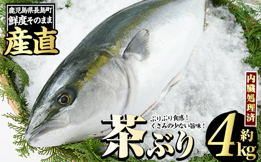 茶ぶり ラウンド（約4・・内臓処理済） ぶり 柵 刺身 ブリ 切り身 鰤 1本 鮮魚 下処理済み 鮮魚 1匹 刺身 ぶりしゃぶ ぶりかま 【ウスイ】usui-6120