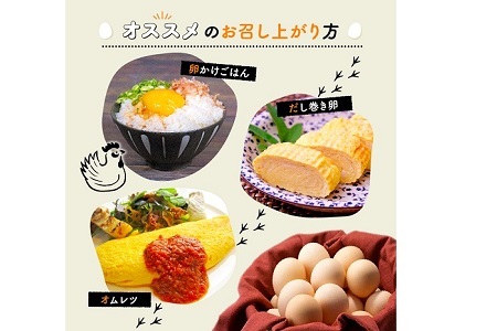 【6回定期便】 京丹波 こだわり たまご くろ丹波 30個 × 6ヶ月 定期便