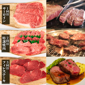  定期便 6回 近江牛 4080g 冷凍 6ヶ月 ( 牛肉 定期便 サーロイン 肉 特選 焼肉 焼き肉 牛肉 フィレ肉 ランプ肉 ブランド肉 定期便 近江牛 定期便 和牛 定期便 牛肉 定期便 焼き肉