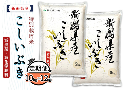 75-7K10ZA【12ヶ月連続お届け】新潟県長岡産特別栽培米こしいぶき10kg（5kg×2袋）【2026年6月発送開始】