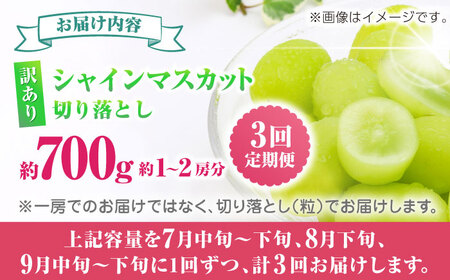 【先行予約】【3回定期便】 訳あり シャインマスカット 切り落とし 約700g  【合同会社 社方園】[ZBZ046]