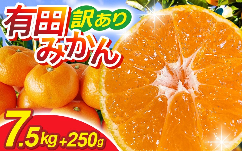 
            【先行予約】家庭用有田みかんサイズ混合(2S～2L)7.5kg+250g 11月より発送(完熟)/ みかん ミカン 有田みかん 柑橘 フルーツ 果物 和歌山 オレンジ【ikd116D】
          