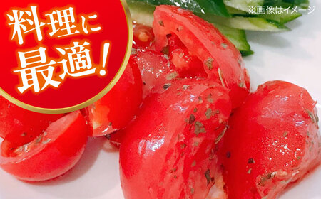 【先行予約】【4月中旬から順次発送】トマト 桃太郎ネクスト 24〜28個入り（約3.5kg〜4kg） 愛媛県大洲市/にのみや農園 トマト とまと tomato 野菜 旬野菜 春夏野菜[AGDG007]