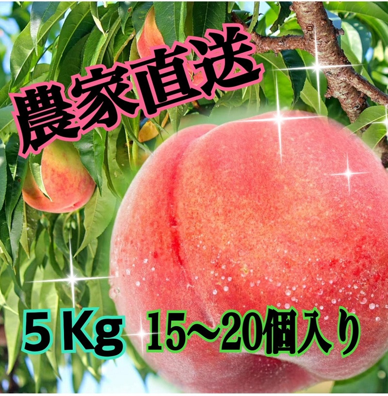 
            【生産者直送】ジューシー こだわりの朝採り桃 約5キロ（15～20個）【2025年発送】（ISI）C2-155 【桃 もも モモ 令和7年発送 期間限定 山梨県産 甲州市 フルーツ 果物】
          