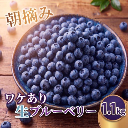 【ふるさと納税】 ブルーベリー 1.1kg 訳あり 生ブルーベリー サイズ無選別 ぶるーべりー なまぶるーべりー ベリー べりー 冷蔵 れいぞう フルーツ ふるーつ 果物 栽培期間中農薬不使用 ソーラーシェアリング生産 葉県 香取市 ENS004