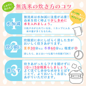 令和7年産 【無洗米】 山形産 雪若丸 5kg FY25-353