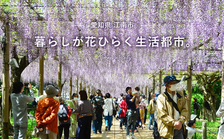 ハウス 選ばれし人気店 芳醇チキンカレー 30個 ／ レトルト カレー ハウス食品 レンジ 湯煎 湯せん 時短 簡単 簡単調理 防災食 長期保存 非常食 ローリングストック 災害 備蓄 常温保存 セッ