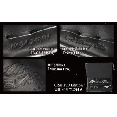 ふるさと納税 宍粟市 ミズノプロ 硬式用 野球グラブ 外野手用 西川 型(左投げ)AO75 |  | 03