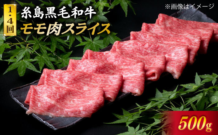 【全6回 定期便 】A4 ランク 博多 和牛 シャトーブリアン 180g×2枚 & A4 ランク 糸島 黒毛 和牛 肩ロース 500g & モモ肉 500g 糸島市 / 糸島ミートデリ工房 [ACA1