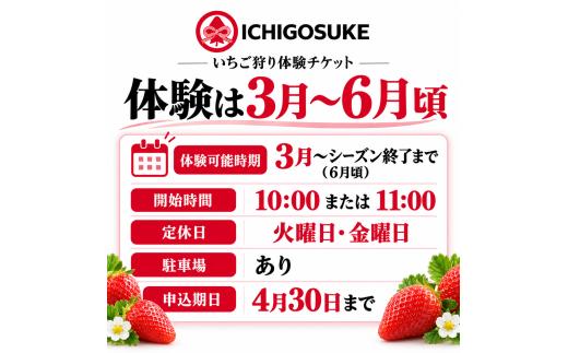 いちご狩り体験 大人2名（中学生以上） チケット | いちごがり 収穫 体験 東武動物公園すぐ 中学生以上 観光農園ICHIGOSUKE 埼玉県 宮代町 