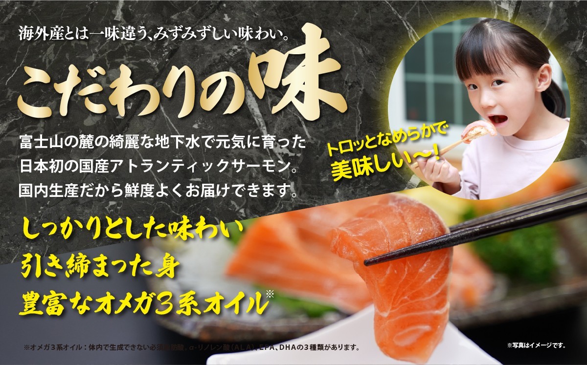 小山町産アトランティックサーモン 冷凍 サーモン漬け丼（約110g×4P）レモンペッパー | サーモン 小分け 真空パック 刺身 海鮮丼 海鮮 魚介 サーモン丼 国産 鮭 養殖 静岡県 小山町