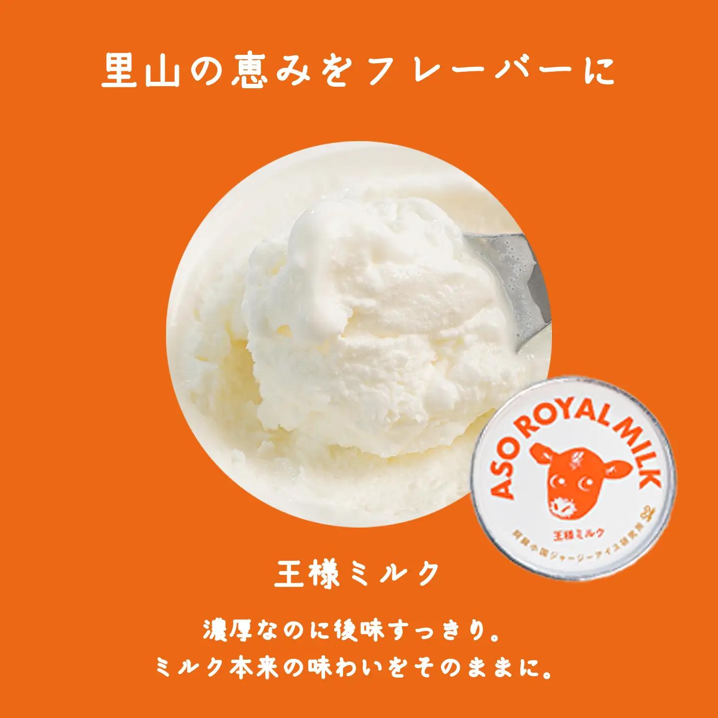 【阿蘇小国ジャージーアイス研究所】阿蘇小国ジャージーアイス 王様ミルク 100ml 16個 国産 熊本県産 小国ジャージー牛乳 ジャージーミルク ゴールデンミルク アイスクリーム 牧場しぼり お取り寄