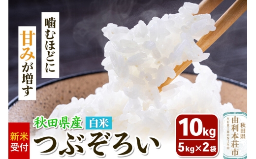 《新米受付》令和8年産【白米】つぶぞろい 10kg（5kg×2袋）秋田県由利本荘市産  [新米予約 米 お米 白米 精米 つぶぞろい 粒ぞろい 大粒 粒が大きい 柔らかい食感 甘み 粘り 香り ふっくら もっちり ご飯 ごはん 秋田]