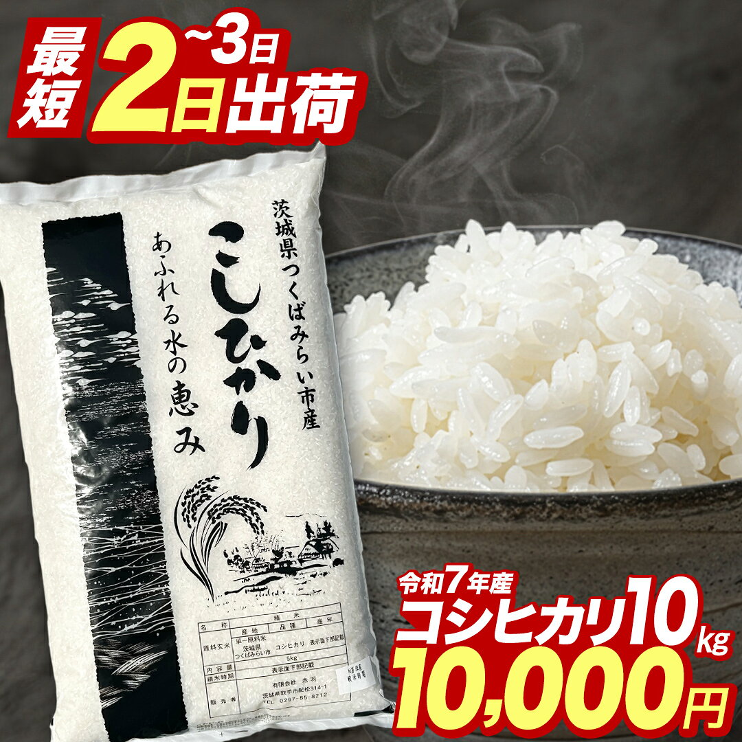【ふるさと納税】新米 令和8年産 米 コシヒカリ 5kg 10kg 15kg 20kg 精米 選べる 配送時期 茨城県つくばみらい市産 ｜ お米 こめ コメ 白米 単一米 5キロ 10キロ 15キロ 20キロ 茨城県産 単一原料 ブランド米 銘柄米 ランキング ご飯 ごはん 人気 限定 ふるさとのうぜい