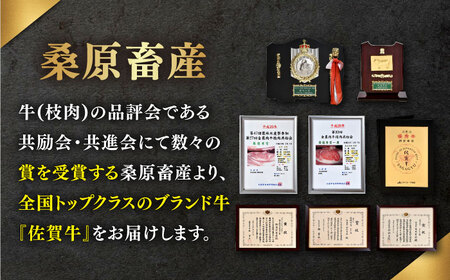 【定期便】 佐賀牛 堪能セット 計9.6kg NAB100 佐賀牛 全6回