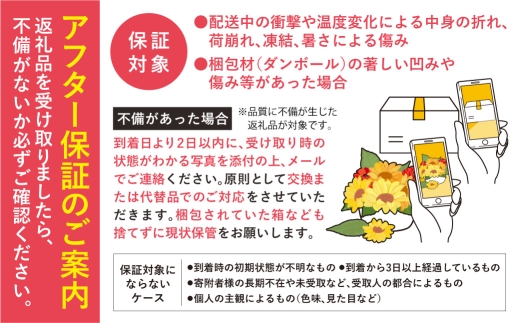 【定期便全12回】季節のフラワーアレンジメントS 【お任せ（ランダム）】