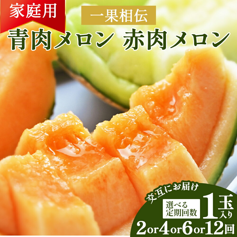 【ふるさと納税】【選べる定期便】一果相伝 青肉メロン 赤肉メロン 家庭用 1玉 交互にお届け(配送回数:2/4/6/12回) - 選べる 定期便 果物 フルーツ めろん 青肉 赤肉 自宅用 ジューシー 果汁 至福 美味しい ソーダ ケーキ 篤農 産地直送 高知県 香南市 【常温】 RWtn-0050