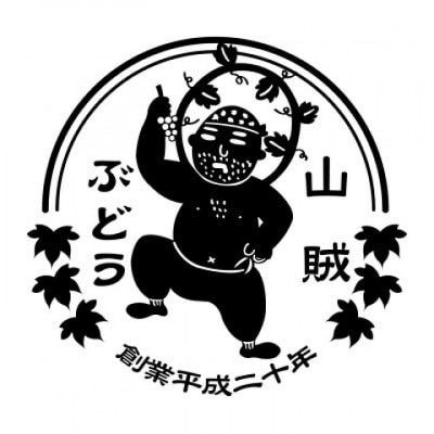 山賊ぶどう シャインマスカット 2房(約1キロ)【配送不可地域：離島】