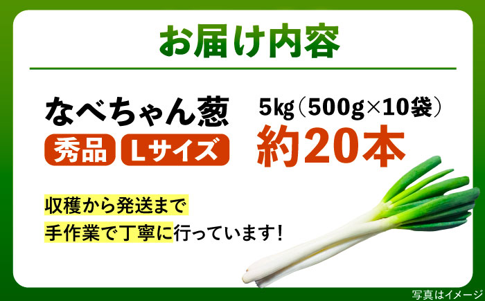 【2025年11月発送開始】焼いてそのまま美味しい！なべちゃん葱 秀品 Lサイズ5kg（500g×10袋）約20本 ねぎ ネギ 島根県雲南市/山さんファーム [AICO001]