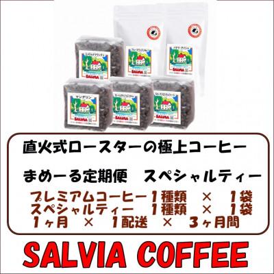 ふるさと納税 館山市 【毎月定期便】まめーるスペシャルティーセレクト2種類【豆】全3回