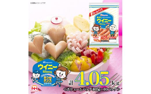 定期便 皮なしウイニー 大袋405g×10袋 計4.05kg【3か月お届け】 日本ハム 工場直送 ウイニー ウインナー ソーセージ 朝食 お弁当 カルシウム入 栄養機能食品 小分け 使い切り ふるさと納税