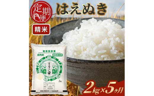 【5回定期便】令和7年産 ［精米］はえぬき　2kg×5回(計10kg) SE0501