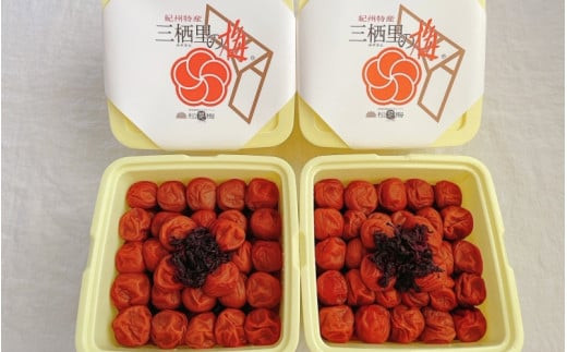 紀州南高梅　三栖里の梅（塩分10%）　4kg(2kg×2個）  / 田辺市 紀州南高梅 南高梅 梅干し 梅干 梅  肉厚 お米 おにぎり 焼酎 梅酒 健康 【ske041-3】